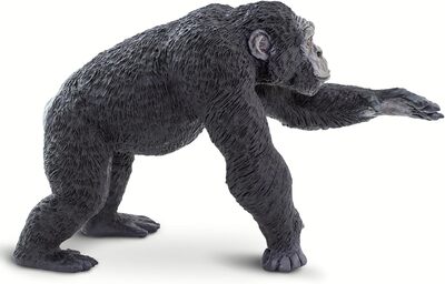 71mWbuwiaML._AC_SL1500_ (3).jpg