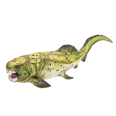 387374_Dunkleosteus_5-540x540.png