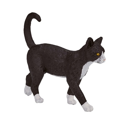 387200_Cat_4.jpg