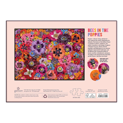 9780735375550_4.puzzle.jpg