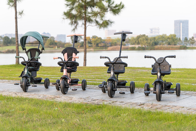 AGS/T10-Z-black/b.jpg