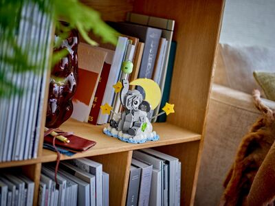 LEGO_40814_Lifestyle_envr_en-gb.jpg