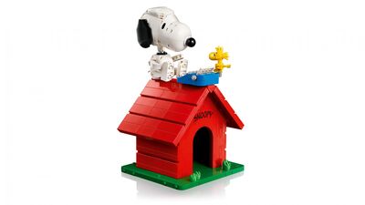 LEGO_21368_WEB_PRI_NOBG.jpg