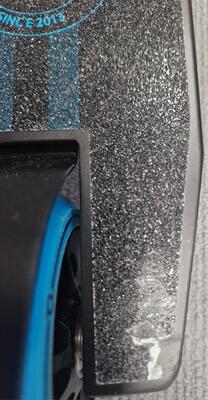 shared image (3).jpg