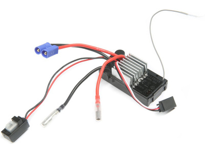 ECX13010.jpg
