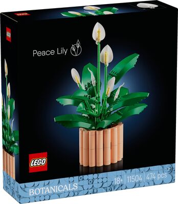LEGO_11504_Box1_v29.jpg