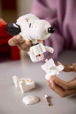 LEGO_21368_Lifestyle_Build_04.jpg