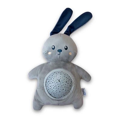 AGS/PSP01-RABBIT/0mimibunny-2017-hd300path.jpg