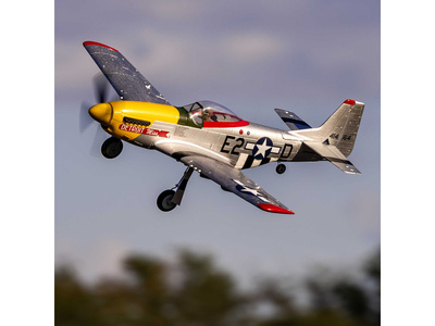 EFLU7350_05.jpg