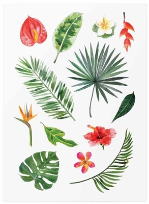 Tattoonme_TMTropic_Vodeodolne_docasne_tetovacky_Tropicke_rastliny_mix_03.jpg