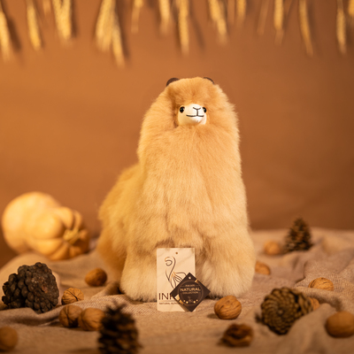 Image rs m Sandstone - Studio Pic.jpg