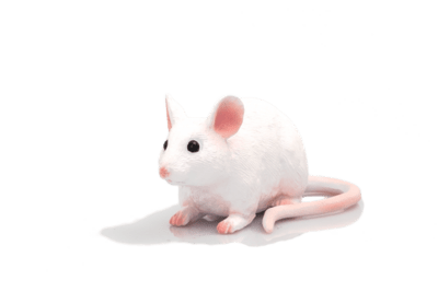 387235-Edit-540x360.png
