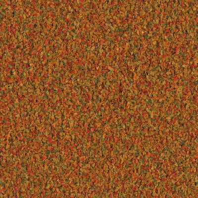 ec524c49c7edd00a0d011716db3854e4.jpeg