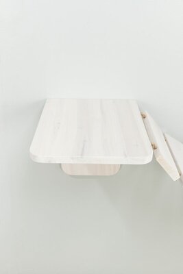 45597_0.jpg