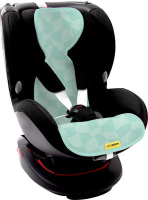AGS/AL-1-CC/AL-1-CC-carseat.jpg