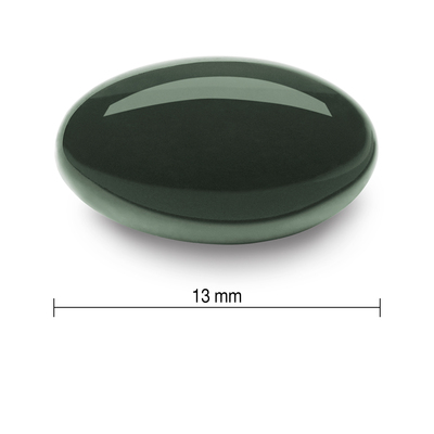 IP360-01l.jpg