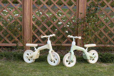 AGS/B-100-mint/f.jpg