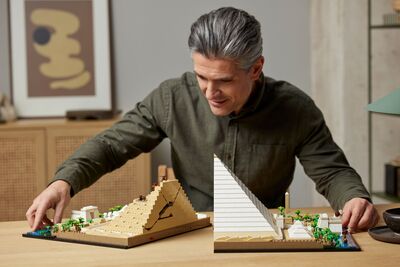 LEGO_21058_alt10.jpg