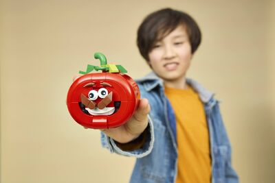LEGO_77079_Lifestyle_Cons_04.jpg