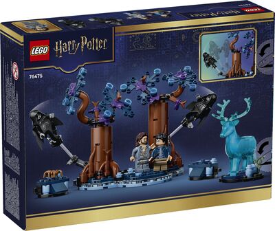 LEGO_76475_Box5_v29.jpg