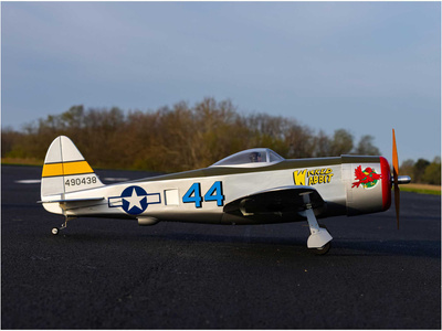HAN3380-07.jpg