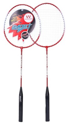 badminton-set-15225.jpg