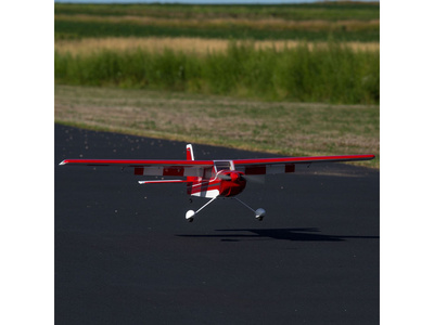 HAN5080_a17.jpg