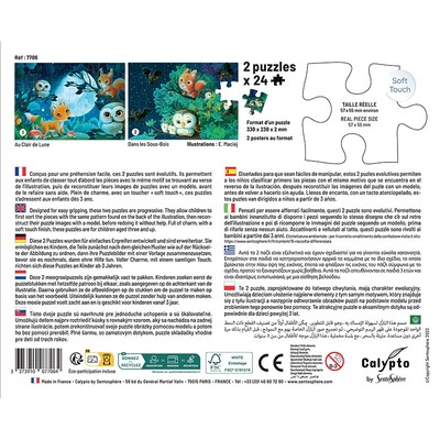 puzzle-2-x-24-pieces-au-clair-de-lune (5).jpg