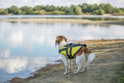 trixie-schwimmweste-xl-65cm-gelb-schwarz-bild-4_6f1444975b8784a6.jpg