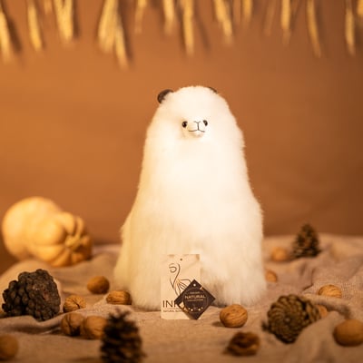 Image 3 B m Stuopiopc - Ivory.jpg