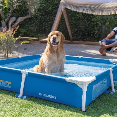 48402np-kit-piscine-tubulaire-carree-pour-animaux (4).jpg