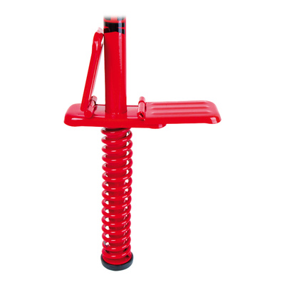 9507_2.pogostick.jpg