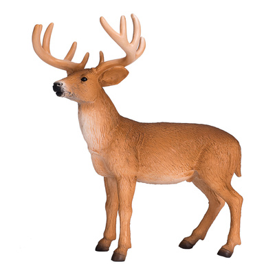387038.animal.jpg