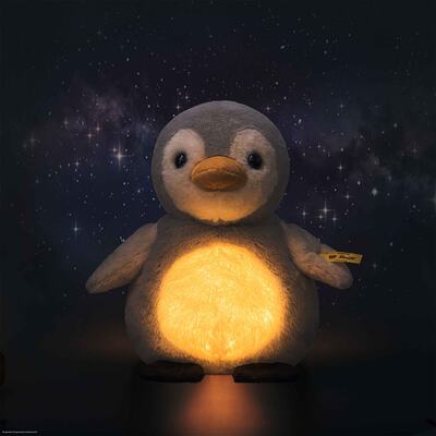 light-at-night-lio-pinguin-242847-5.jpg