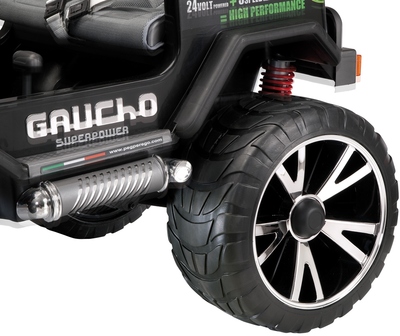 10gauchosp2014_shockabs.jpg