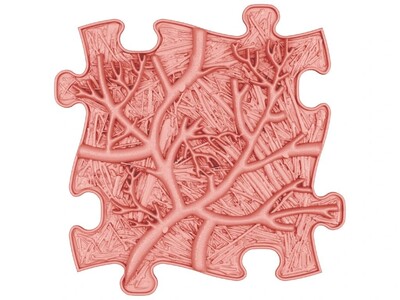 5w01--1.jpg