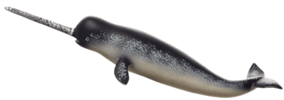 387354_Narwhal-540x191.png