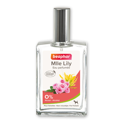 13552_Ecommerce_Parfum-Female_FR_2023-1.jpg