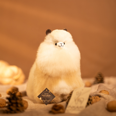 ImagedzdrzťB small sahara.jpg