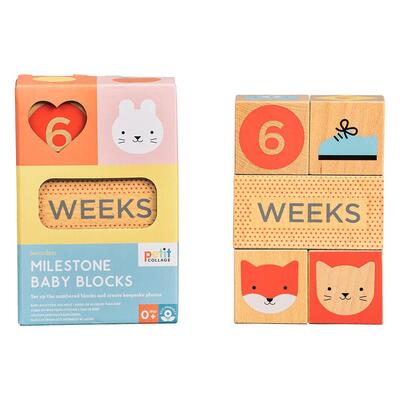 PTC468_PRO_WoodenBabyMilestoneBlocks_01_LO_1800x.jpg