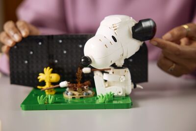 LEGO_21368_Lifestyle_Build_05.jpg