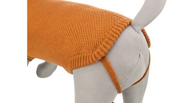 52595_0.jpg
