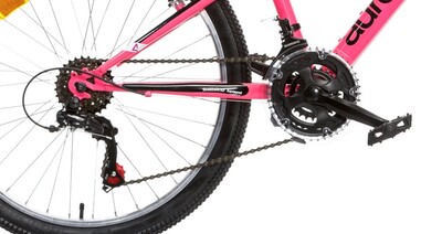 aurelia_ring_24_inch_22_cm_meisjes_6v_v-brakes_roze_1018128_1669820580 – kópia.jpg