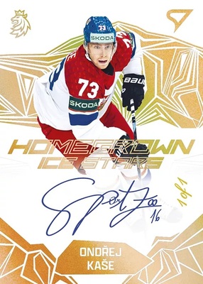 Homegrown Ice Stars - 37.jpg