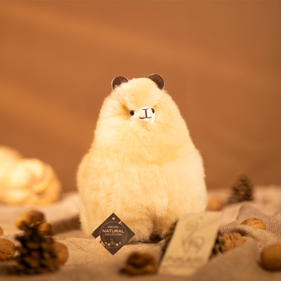 Ima695s43 B small blond.jpg