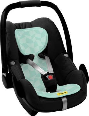 AGS/AL-0-CC/AL-0-CC-carseat.jpg