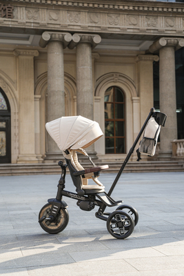 AGS/T70-beige/FA8A6791.jpg