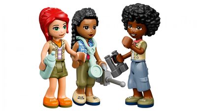 LEGO_41717_WEB_SEC04_NOBG.jpg
