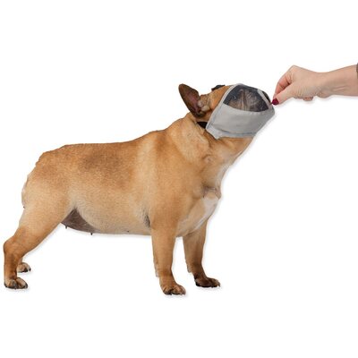 e29c99e743375bdd44dbf01edf80b671.jpeg