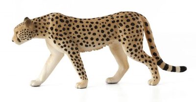 Mojo-Toys-Singles-112016-2579-e1484904602143-540x282.jpg